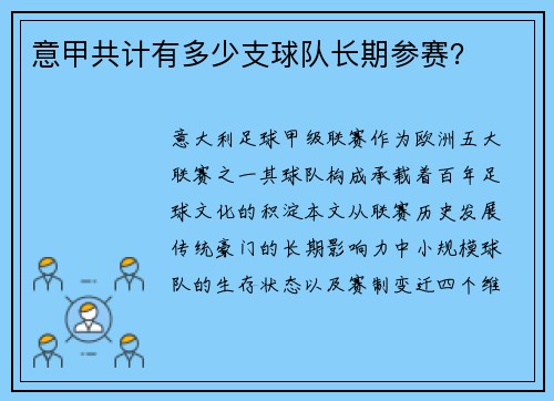 意甲共计有多少支球队长期参赛？