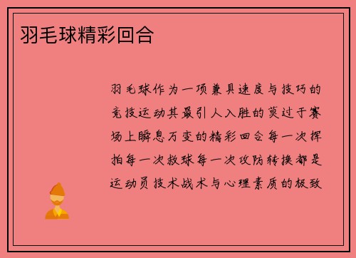 羽毛球精彩回合